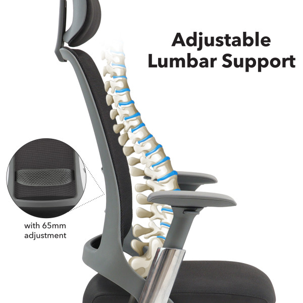 Holden Mesh Executive Ergonomic Office Chair